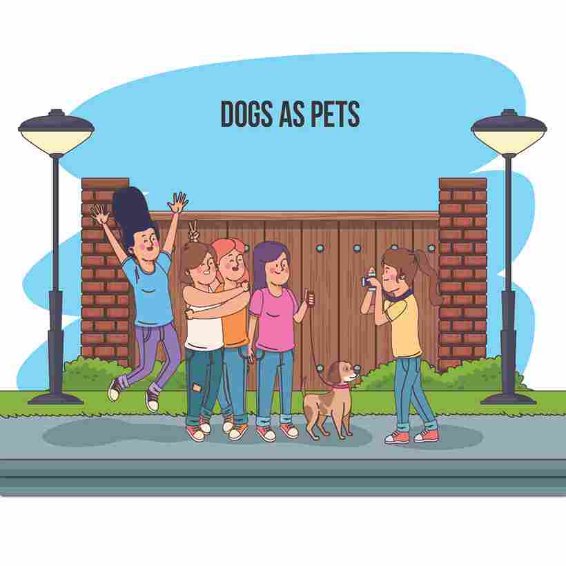 dogs and pets